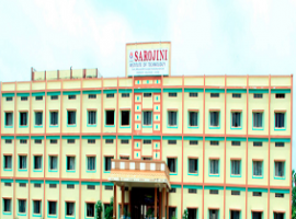 Sarojini Institute of Technology