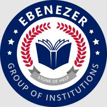 Ebenezer Group of Institutions logo