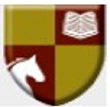 Raffles University logo