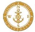 Seacom Skills University - SSU logo