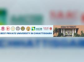 ISBM University