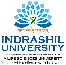 Indrashil University logo